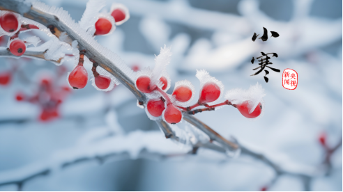 1711938551837747.png image.png